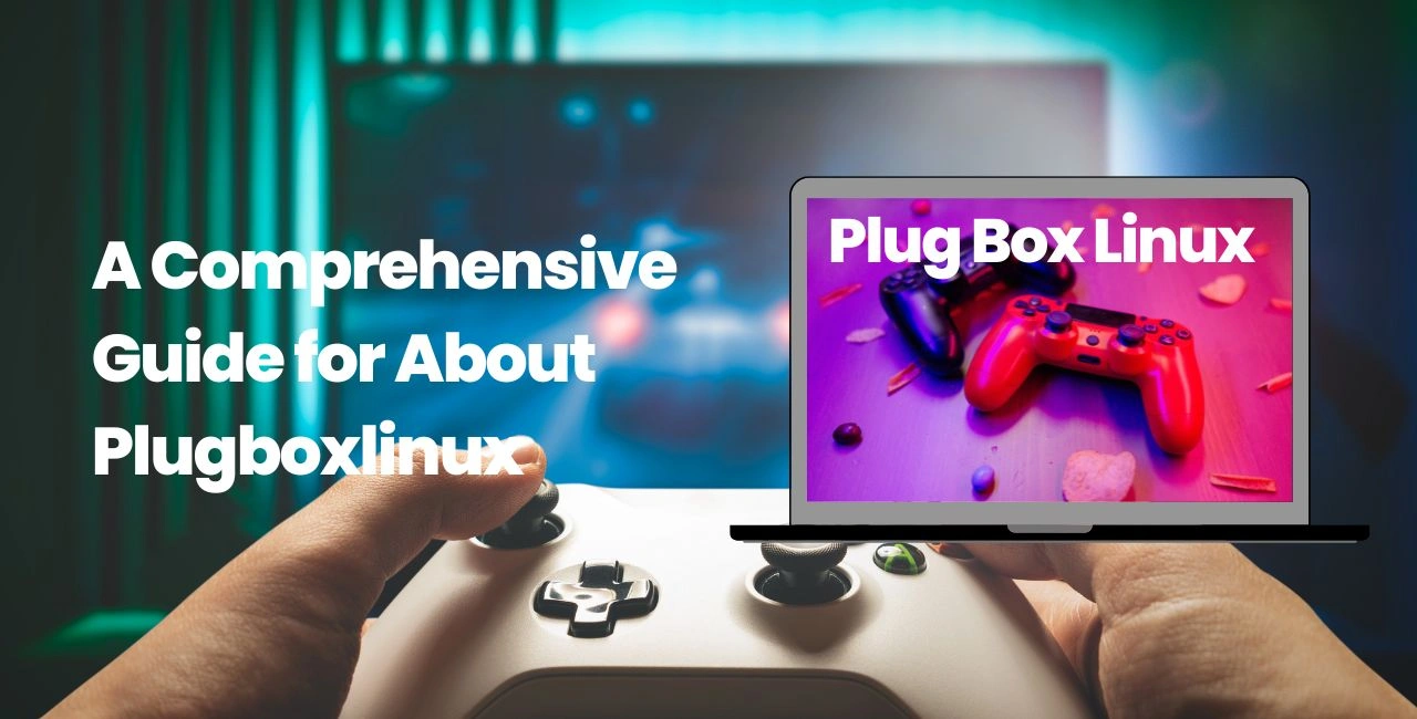 A Comprehensive Guide for About Plugboxlinux